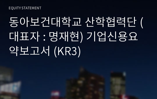 동아보건대학교 산학협력단 기업신용요약보고서 (KR3)