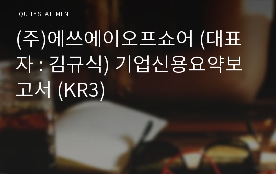 (주)에쓰에이오프쇼어 기업신용요약보고서 (KR3)