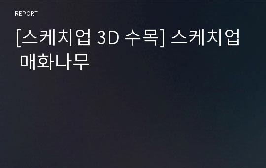 [스케치업 3D 수목] 스케치업 매화나무