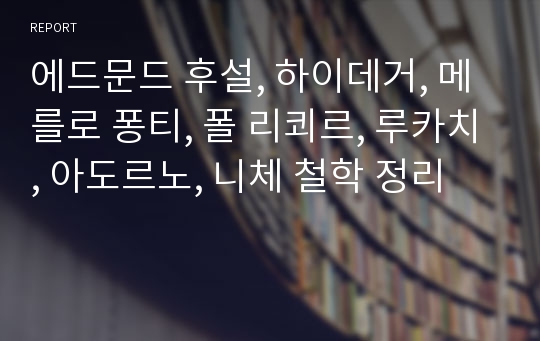 에드문드 후설, 하이데거, 메를로 퐁티, 폴 리쾨르, 루카치, 아도르노, 니체 철학 정리