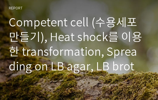 Competent cell (수용세포 만들기), Heat shock를 이용한 transformation, Spreading on LB agar, LB broth에 분화