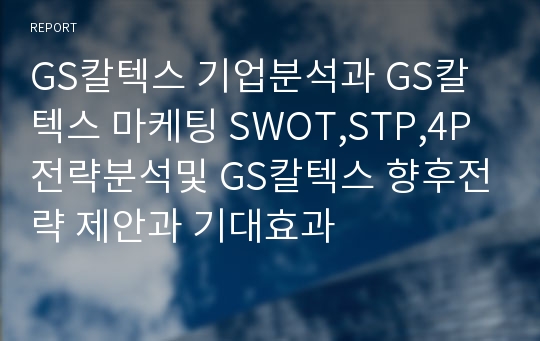 GS칼텍스 기업분석과 GS칼텍스 마케팅 SWOT,STP,4P전략분석및 GS칼텍스 향후전략 제안과 기대효과