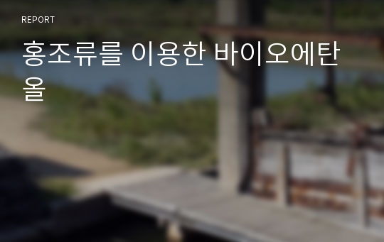 홍조류를 이용한 바이오에탄올