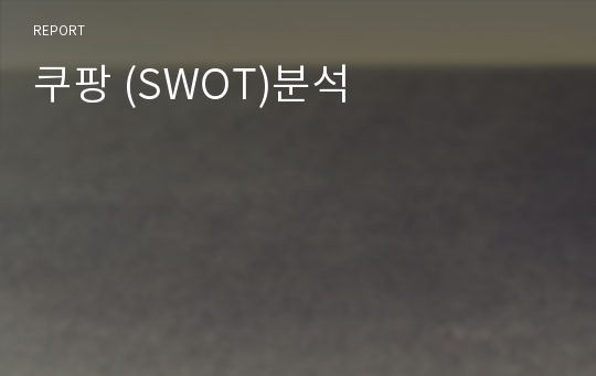 쿠팡 (SWOT)분석