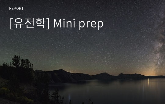 [유전학] Mini prep