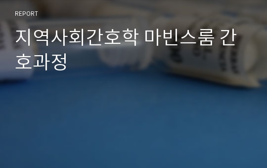 지역사회간호학 마빈스룸 간호과정