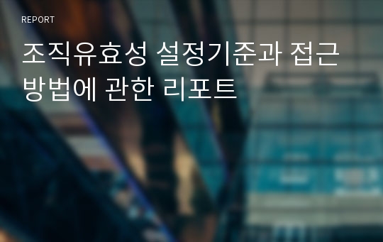 조직유효성 설정기준과 접근방법에 관한 리포트