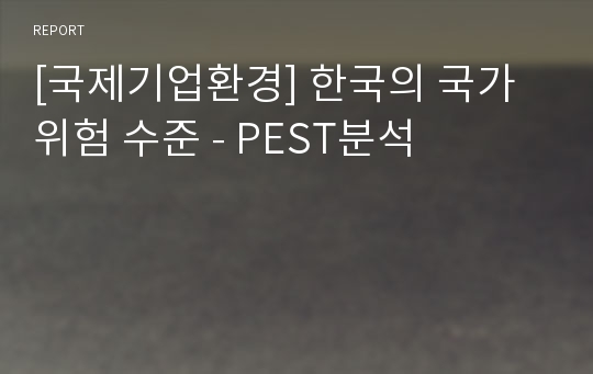 [국제기업환경] 한국의 국가 위험 수준 - PEST분석