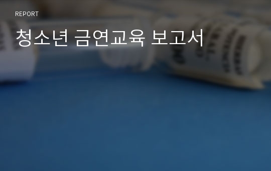 청소년 금연교육 보고서