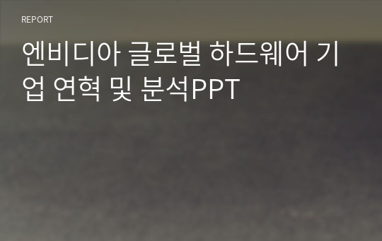 엔비디아 글로벌 하드웨어 기업 연혁 및 분석PPT