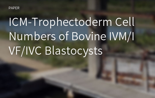 ICM-Trophectoderm Cell Numbers of Bovine IVM/IVF/IVC Blastocysts
