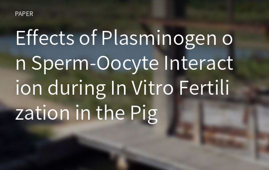 Effects of Plasminogen on Sperm-Oocyte Interaction during In Vitro Fertilization in the Pig