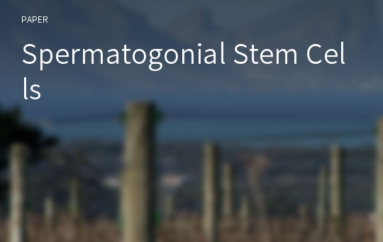 Spermatogonial Stem Cells