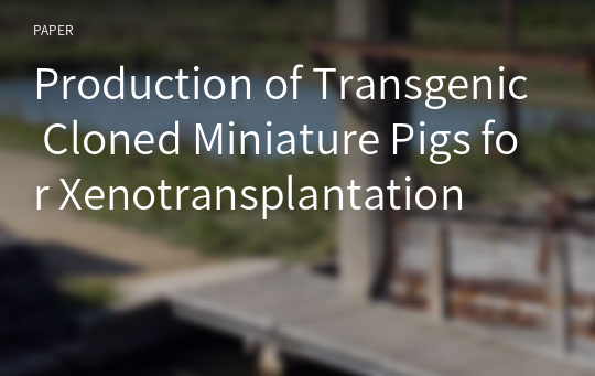 Production of Transgenic Cloned Miniature Pigs for Xenotransplantation