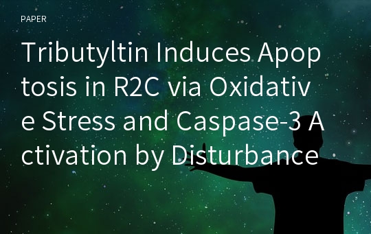 Tributyltin Induces Apoptosis in R2C via Oxidative Stress and Caspase-3 Activation by Disturbance of