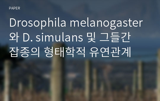 Drosophila melanogaster와 D. simulans 및 그들간 잡종의 형태학적 유연관계