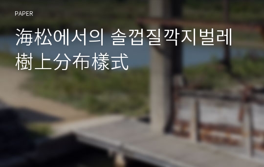 海松에서의 솔껍질깍지벌레 樹上分布樣式