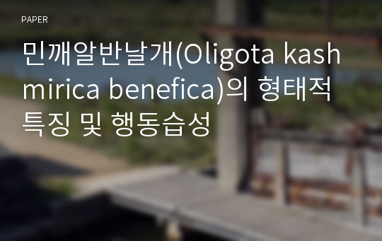 민깨알반날개(Oligota kashmirica benefica)의 형태적 특징 및 행동습성