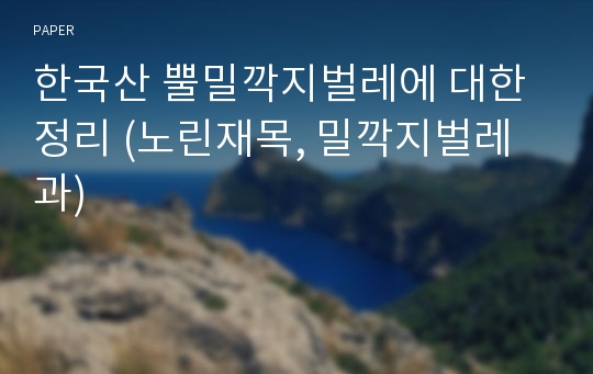 한국산 뿔밀깍지벌레에 대한 정리 (노린재목, 밀깍지벌레과)