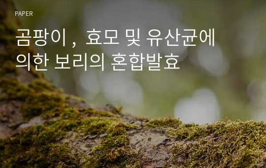 곰팡이 ,  효모 및 유산균에 의한 보리의 혼합발효