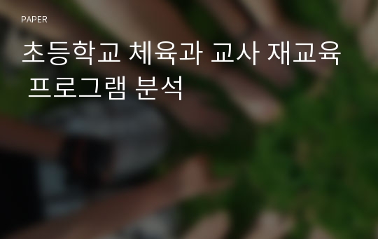 초등학교 체육과 교사 재교육 프로그램 분석