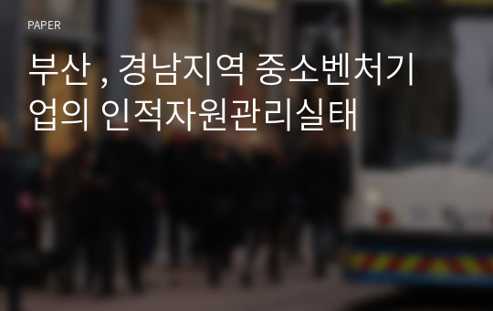 부산 , 경남지역 중소벤처기업의 인적자원관리실태