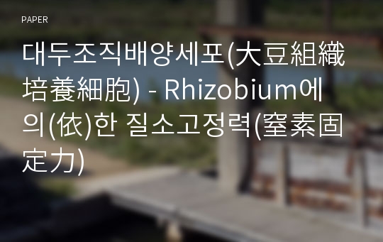 대두조직배양세포(大豆組織培養細胞) - Rhizobium에 의(依)한 질소고정력(窒素固定力)