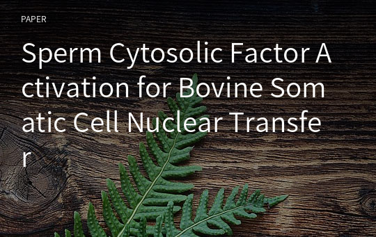 Sperm Cytosolic Factor Activation for Bovine Somatic Cell Nuclear Transfer