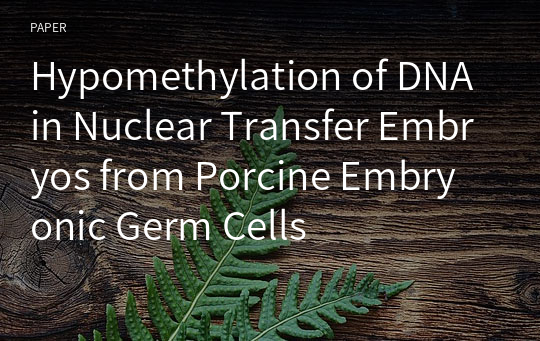 Hypomethylation of DNA in Nuclear Transfer Embryos from Porcine Embryonic Germ Cells