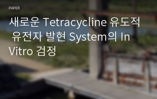 새로운 Tetracycline 유도적 유전자 발현 System의 In Vitro 검정