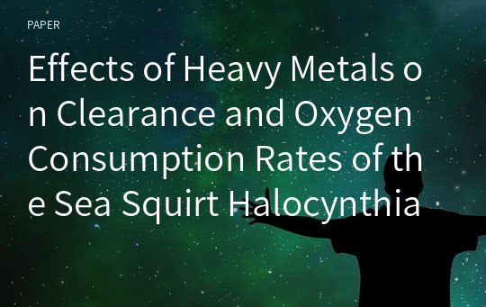 Effects of Heavy Metals on Clearance and Oxygen Consumption Rates of the Sea Squirt Halocynthia roretzi According to Various Body Sizes