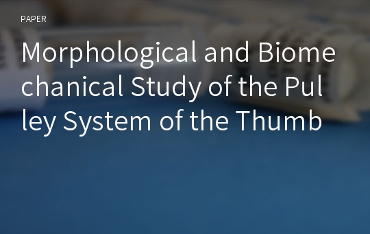 Morphological and Biomechanical Study of the Pulley System of the Thumb