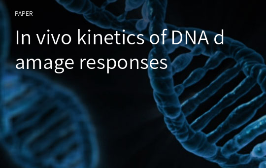 In vivo kinetics of DNA damage responses