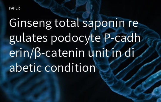 Ginseng total saponin regulates podocyte P-cadherin/β-catenin unit in diabetic condition