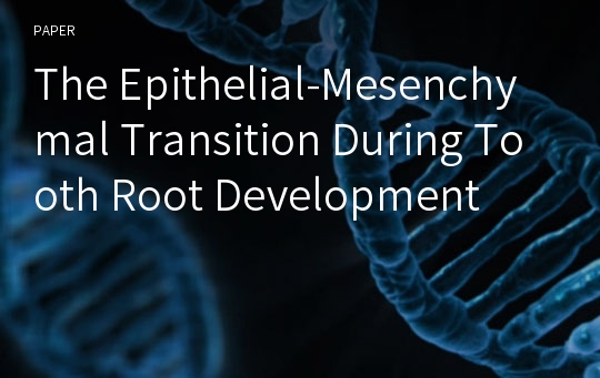 The Epithelial-Mesenchymal Transition During Tooth Root Development