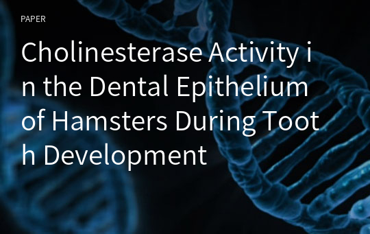 Cholinesterase Activity in the Dental Epithelium of Hamsters During Tooth Development
