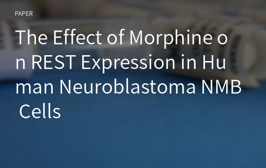 The Effect of Morphine on REST Expression in Human Neuroblastoma NMB Cells