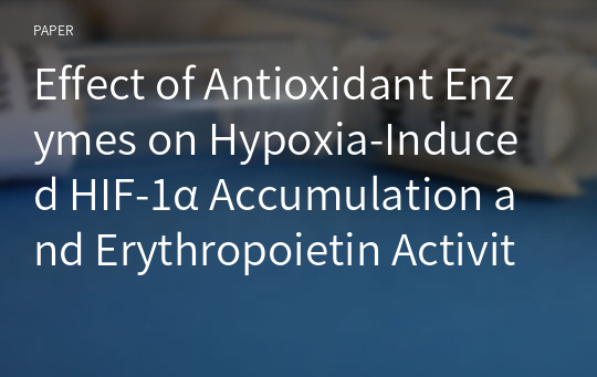 Effect of Antioxidant Enzymes on Hypoxia-Induced HIF-1α Accumulation and Erythropoietin Activity