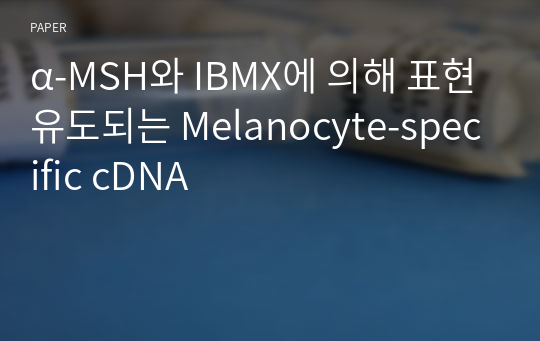 α-MSH와 IBMX에 의해 표현유도되는 Melanocyte-specific cDNA