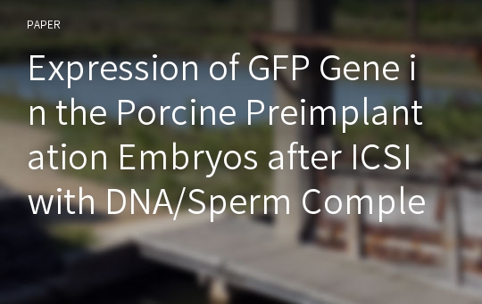 Expression of GFP Gene in the Porcine Preimplantation Embryos after ICSI with DNA/Sperm Complex