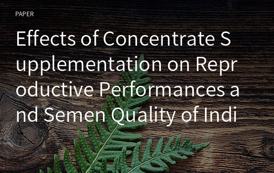 Effects of Concentrate Supplementation on Reproductive Performances and Semen Quality of Indigenous Rams in Bangladesh