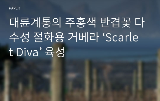 대륜계통의 주홍색 반겹꽃 다수성 절화용 거베라 ‘Scarlet Diva’ 육성