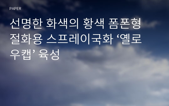 선명한 화색의 황색 폼폰형 절화용 스프레이국화 ‘옐로우캡’ 육성