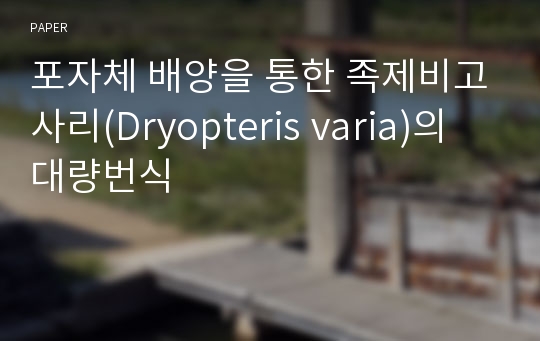 포자체 배양을 통한 족제비고사리(Dryopteris varia)의 대량번식