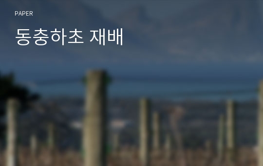 동충하초 재배