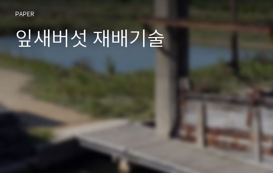 잎새버섯 재배기술