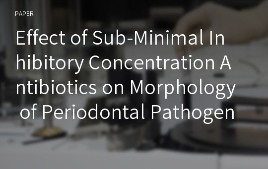 Effect of Sub-Minimal Inhibitory Concentration Antibiotics on Morphology of Periodontal Pathogens