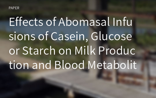 Effects of Abomasal Infusions of Casein, Glucose or Starch on Milk Production and Blood Metabolites in Dairy Cows
