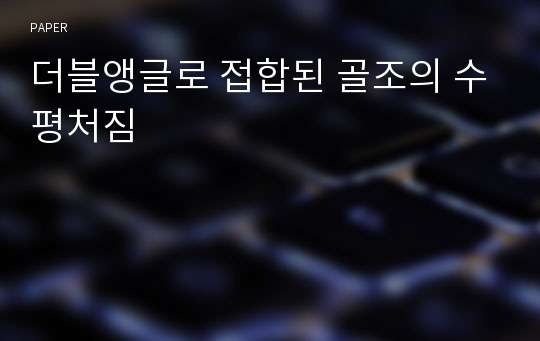 더블앵글로 접합된 골조의 수평처짐