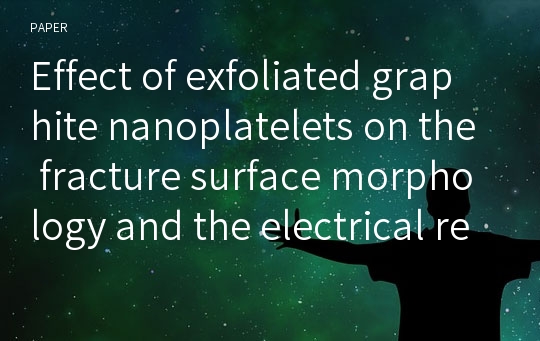 Effect of exfoliated graphite nanoplatelets on the fracture surface morphology and the electrical resistivity of phenylethynyl-terminated polyimide